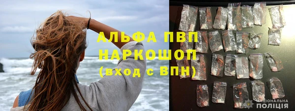 apvp Няндома