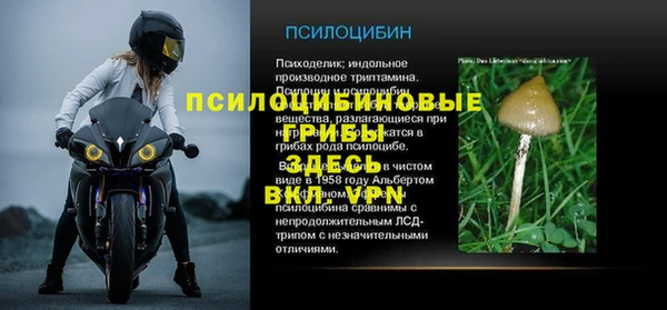 прущие крисы Богданович