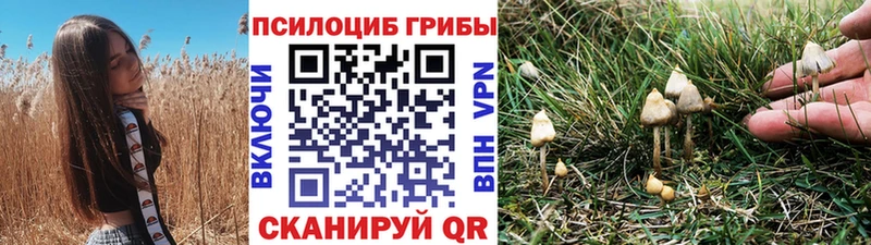 Псилоцибиновые грибы Psilocybe  Купить закладки  Апатиты 